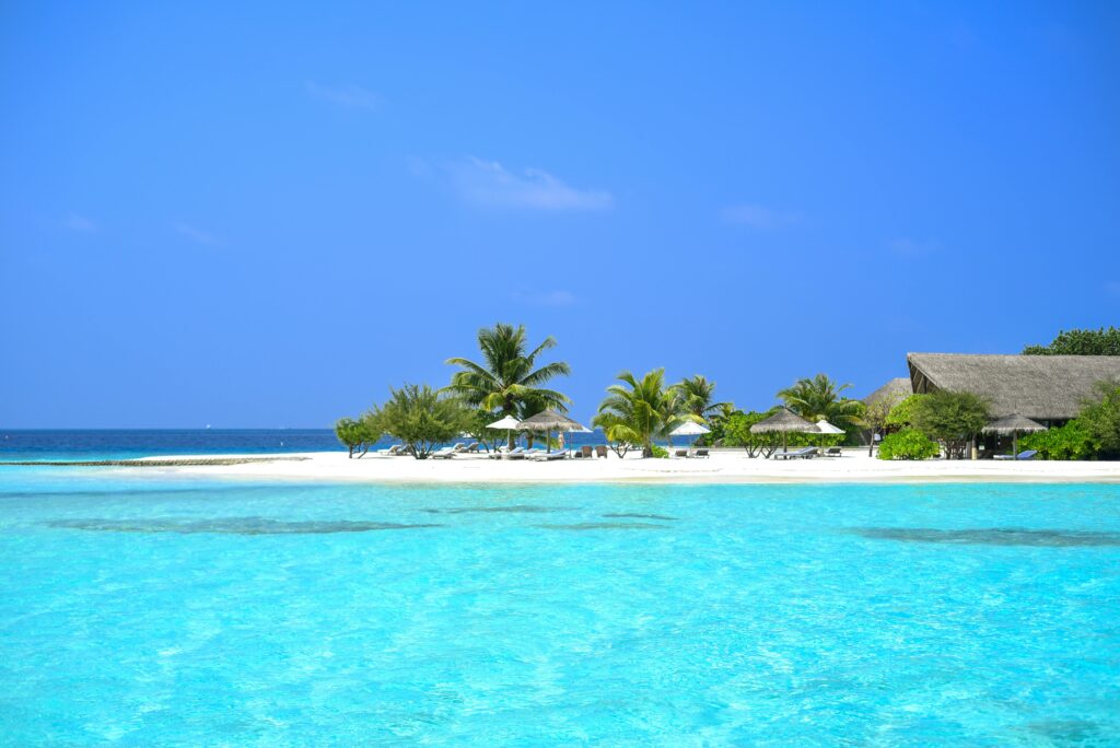 Pexels Asadphoto 9149356 1 1024x684